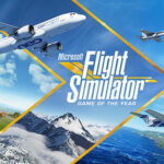 Microsoft Flight Simulator Switch