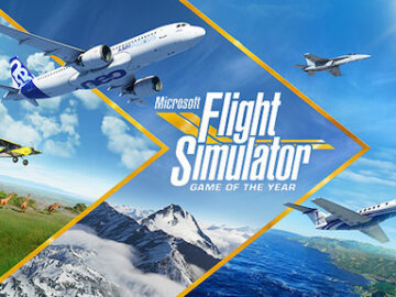 Microsoft Flight Simulator Switch